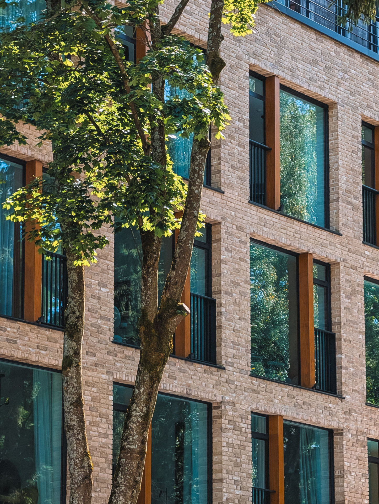 Brick apartment building framed by trees